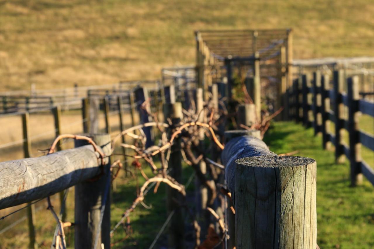 SarsfieldDown To Earth Farm Retreatアパートメント エクステリア 写真
