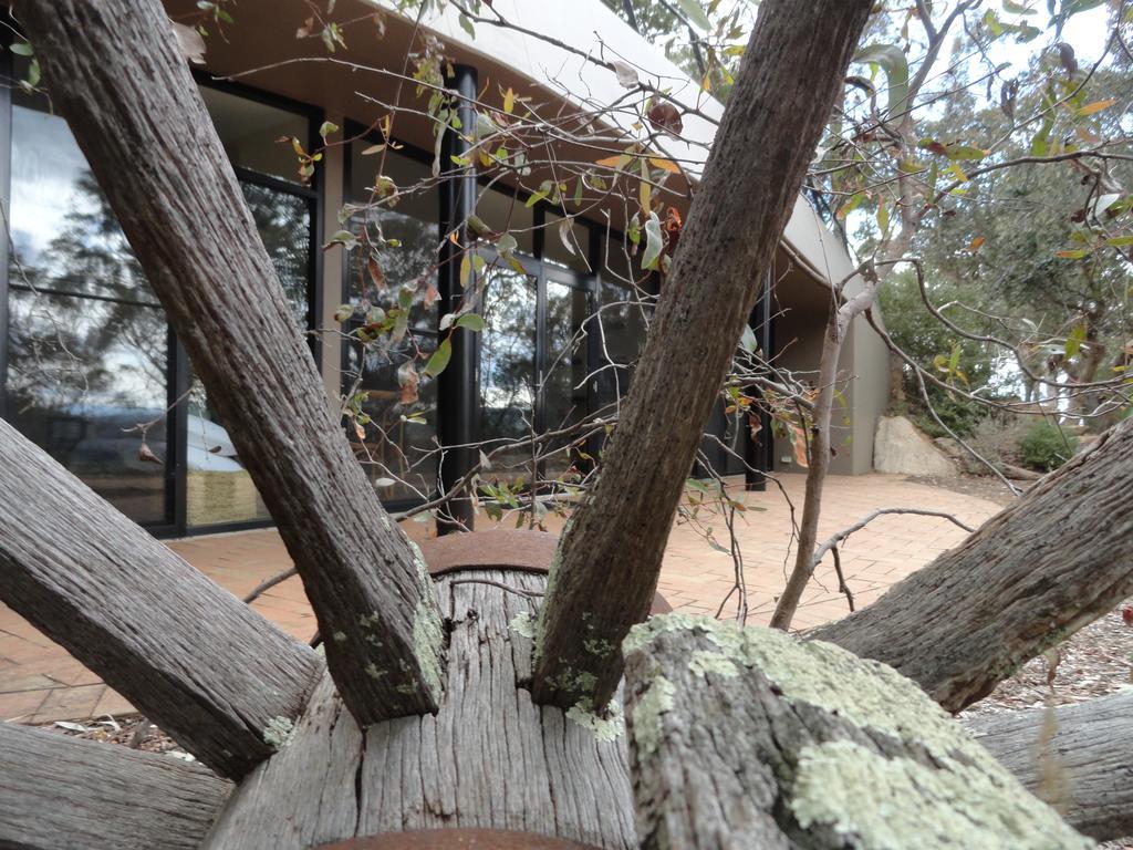 SarsfieldDown To Earth Farm Retreatアパートメント エクステリア 写真